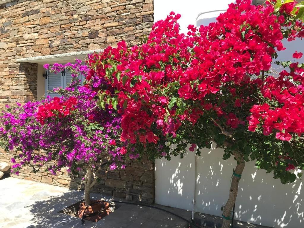 Oikia Petra Villa Agios Ioannis  Buitenkant foto
